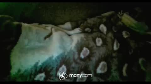 JP online show from February 2025 10:19:01 AM