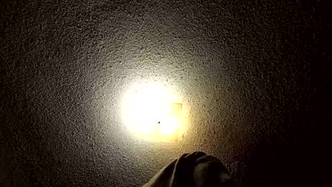 Snapshot of ibussbooties_007 chatting on March 2026 01:55:01 AM ibussbooties_007 online show from March 2026 01:55:01 AM