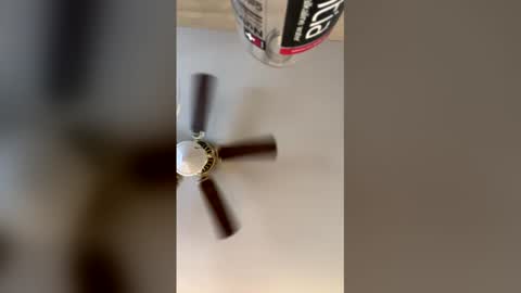 Snapshot of idkk_97 chatting on March 2026 08:09:01 PM idkk_97 online show from March 2026 08:09:01 PM