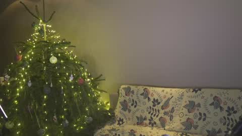 Snapshot of ifyouleave chatting on January 2025 04:11:02 PM Belle online show from January 2025 04:11:02 PM