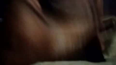 Snapshot of ihktqjtwzczh chatting on February 2026 12:05:02 PM ihktqjtwzczh online show from February 2026 12:05:02 PM