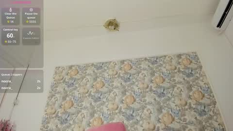 illegal_lorry online show from January 2026 06:04:01 AM