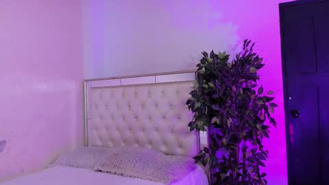 FELIX online show from February 2026 11:16:01 AM