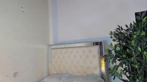 im_sebaslopez online show from February 2026 09:07:01 PM