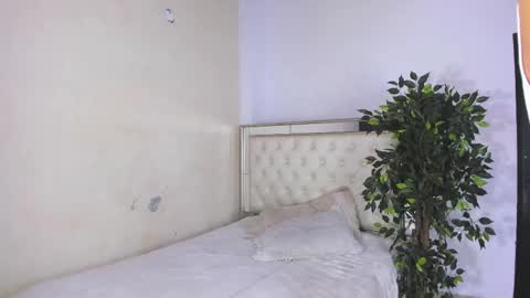 im_sebaslopez online show from March 2026 07:31:01 PM