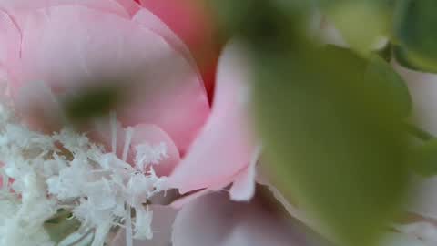 Carrie online show from February 2025 05:24:01 PM