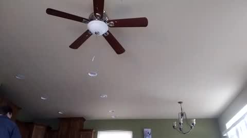 Iminyourroom online show from January 2025 08:22:02 PM