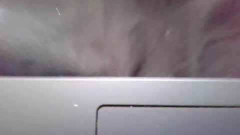 Snapshot of imstillstrokin chatting on October 2025 07:35:02 PM imstillstrokin online show from October 2025 07:35:02 PM