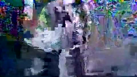 in201943 online show from March 2026 08:33:01 AM