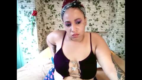 Candy cat online show from February 2025 10:51:01 AM