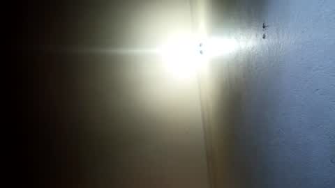 Perky baby online show from July 2026 08:01:01 PM