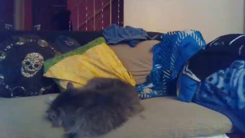 Snapshot of indigo_scorpio chatting on January 2025 09:15:01 AM indigo_scorpio online show from January 2025 09:15:01 AM