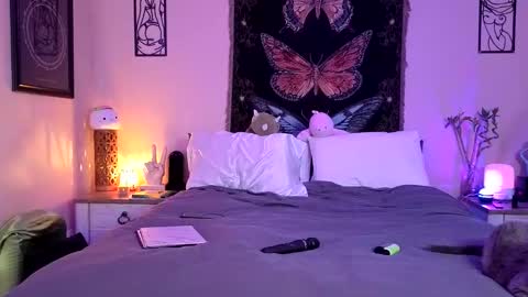 Indigo Bay online show from April 2026 11:46:02 PM