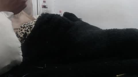 indr40ff online show from May 2026 05:14:01 AM