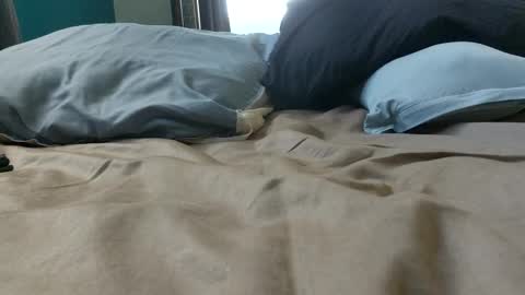 Snapshot of inspired2b chatting on January 2025 07:59:02 PM inspired2b online show from January 2025 07:59:02 PM