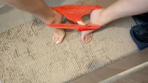 iopensusa online show from December 2024 02:22:02 PM