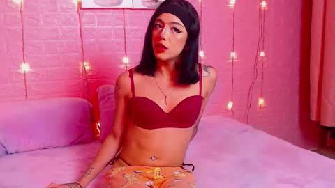 Iirs online show from March 2026 12:17:01 AM