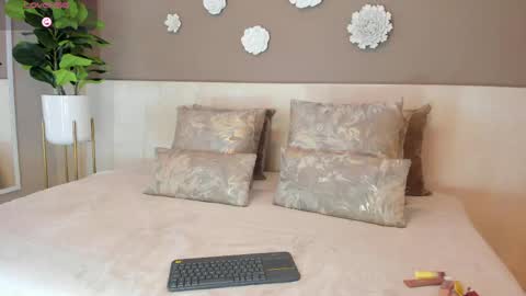    online show from May 2026 03:46:02 AM