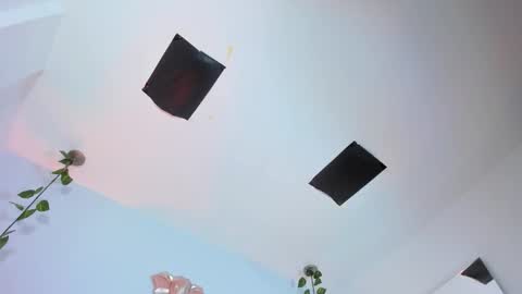   online show from November 2025 08:41:01 PM