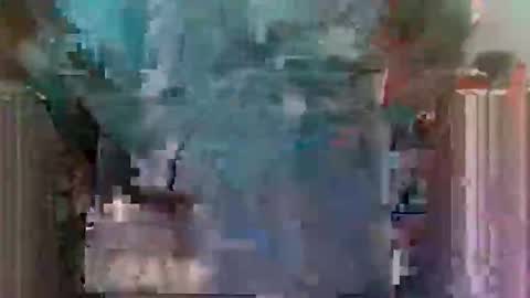 Horny boy online show from May 2026 10:56:01 AM