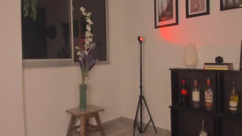 Snapshot of isnotforeveryone chatting on February 2025 02:42:02 AM Julyane online show from February 2025 02:42:02 AM