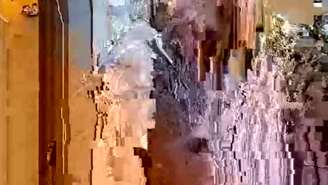 ItsFoxie online show from January 2026 04:49:02 AM