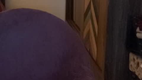 Raje online show from November 2025 04:03:01 PM