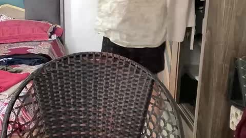 Raje online show from November 2025 04:07:02 AM