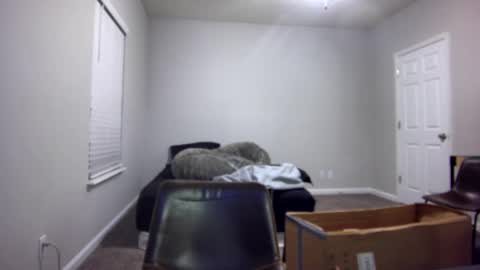 TARZAN online show from December 2024 07:04:01 AM