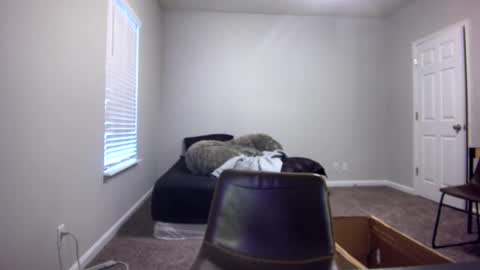 TARZAN online show from December 2024 06:49:01 PM