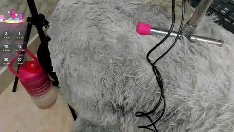 Ivis  online show from April 2026 01:43:02 PM