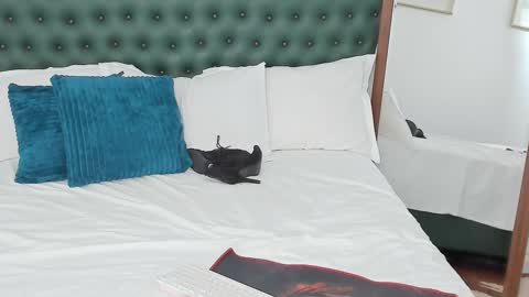 IvyHotFoxy online show from February 2026 12:01:02 PM