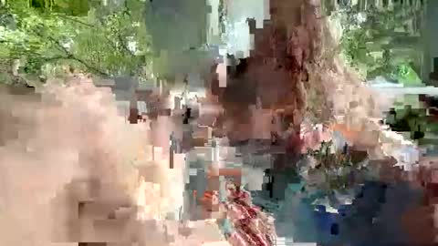 ivysagex online show from December 2025 03:57:01 AM