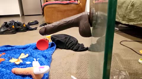 Snapshot of j220231 chatting on December 2025 12:25:01 PM j220231 online show from December 2025 12:25:01 PM