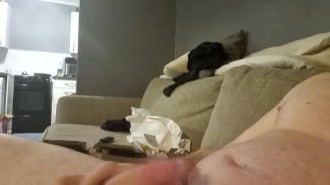 Big 8 online show from January 2025 10:34:01 PM