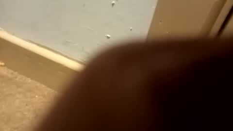 Snapshot of j434934 chatting on January 2026 07:28:02 PM j434934 online show from January 2026 07:28:02 PM