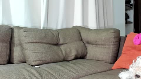 Calix  Independient model Insta and twt Calixsnake online show from January 2025 05:35:01 AM