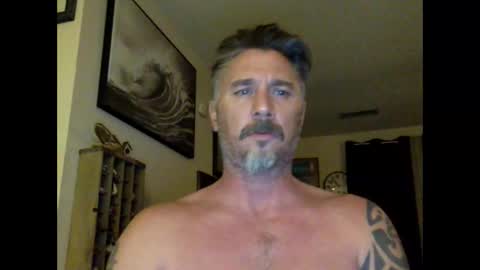 jackhammerhead online show from December 2024 03:52:02 AM