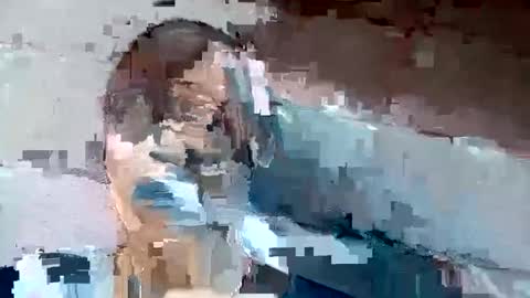 Snapshot of jackie_senpai chatting on December 2024 01:24:02 PM jackie petit online show from December 2024 01:24:02 PM