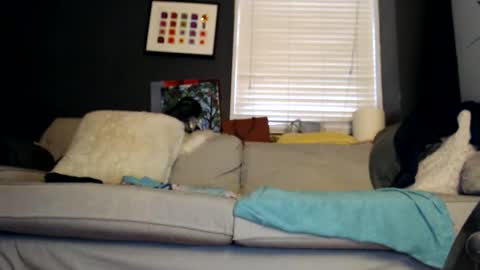 Snapshot of jackie_sugar chatting on October 2025 02:18:02 PM Jackie online show from October 2025 02:18:02 PM