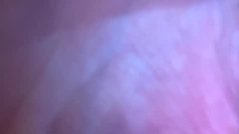 jackjackerman online show from March 2026 10:55:01 AM