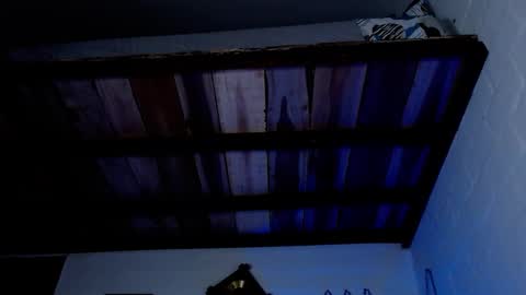 Michael Caicedo online show from March 2025 04:51:02 AM