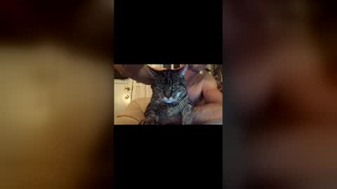 Snapshot of jacobmotes chatting on December 2025 10:49:02 PM Jacob online show from December 2025 10:49:02 PM