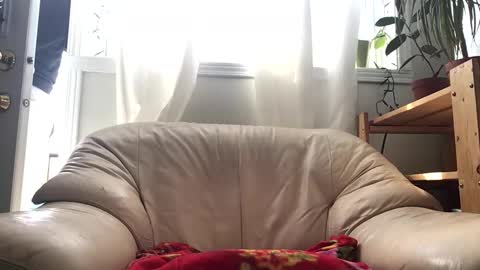 Snapshot of jacobmotes chatting on February 2026 04:59:01 PM Jacob online show from February 2026 04:59:01 PM