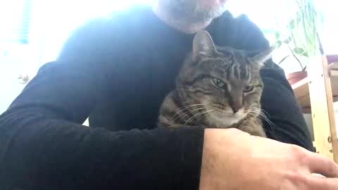 Snapshot of jacobmotes chatting on February 2026 01:20:01 PM Jacob online show from February 2026 01:20:01 PM