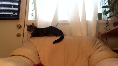 Snapshot of jacobmotes chatting on February 2026 09:54:01 PM Jacob online show from February 2026 09:54:01 PM