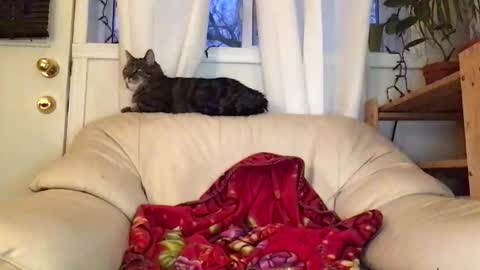 Snapshot of jacobmotes chatting on February 2026 10:52:02 PM Jacob online show from February 2026 10:52:02 PM