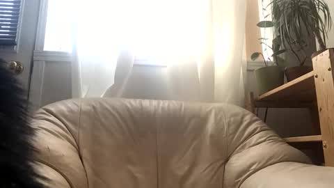 Snapshot of jacobmotes chatting on February 2026 03:43:01 PM Jacob online show from February 2026 03:43:01 PM