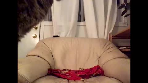 Snapshot of jacobmotes chatting on March 2026 12:37:01 AM Jacob online show from March 2026 12:37:01 AM