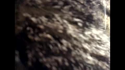 Snapshot of jacobmotes chatting on March 2026 12:43:02 PM Jacob online show from March 2026 12:43:02 PM